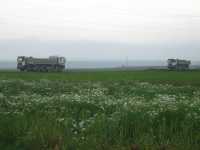 Schweinemaststall, Lichtenw�rth, M�llner (2008/2009) - Referenzfoto &middot; 